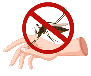 mosquito