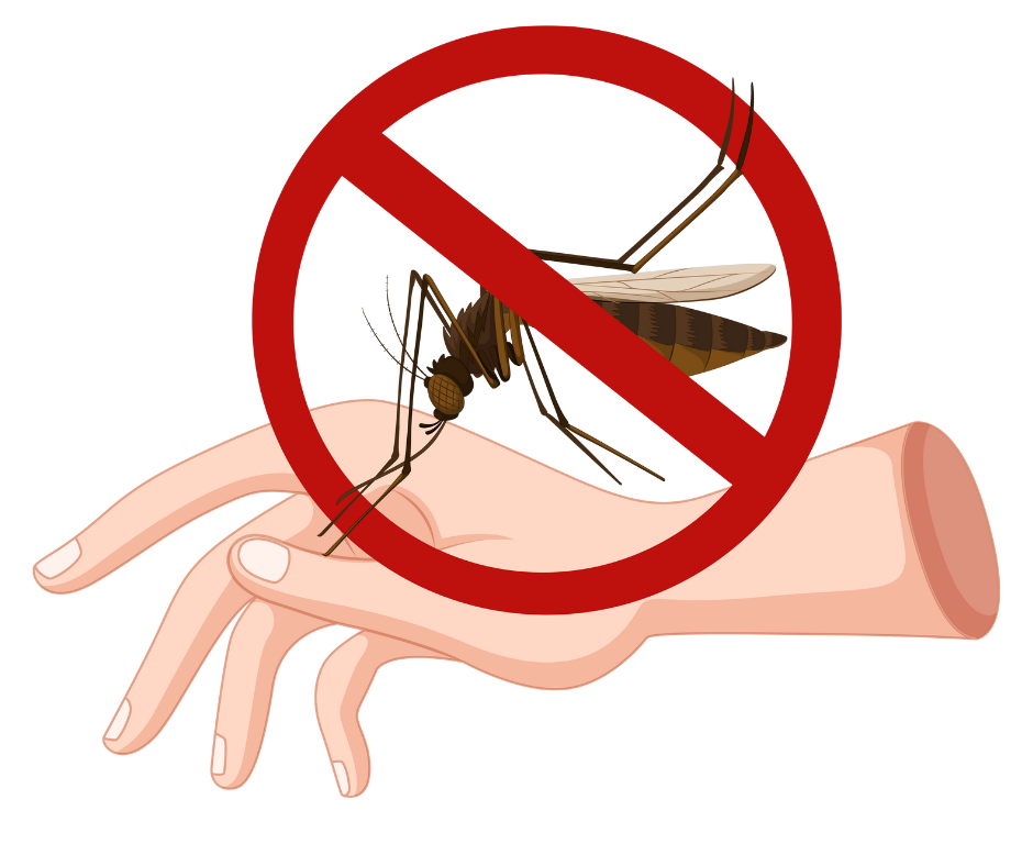 mosquito