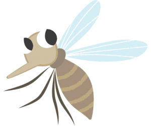 mosquitoes