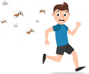 bugs